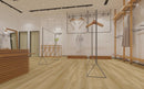 $3.29/sq. ft. ($62.90/Box)  Avo-Rox Ease Vinyl Collection "Golden Ray" with Attached Underlayment
