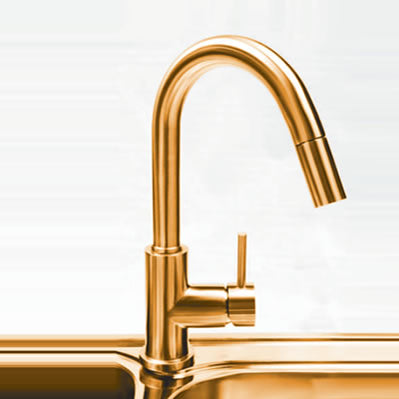 Gold Single-Handle Kitchen Faucet 200065GD