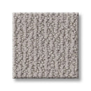 ICONIC WAY 100% SD PET Polyester Carpet 12 ft. x Custom Length R2X® Built-in Stain & Soil Protection