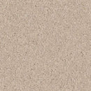DYERSBURG CLASSIC 12' 100% Pet Polyester Carpet 12 ft. x Custom Length R2X® Built-in Stain & Soil Protection