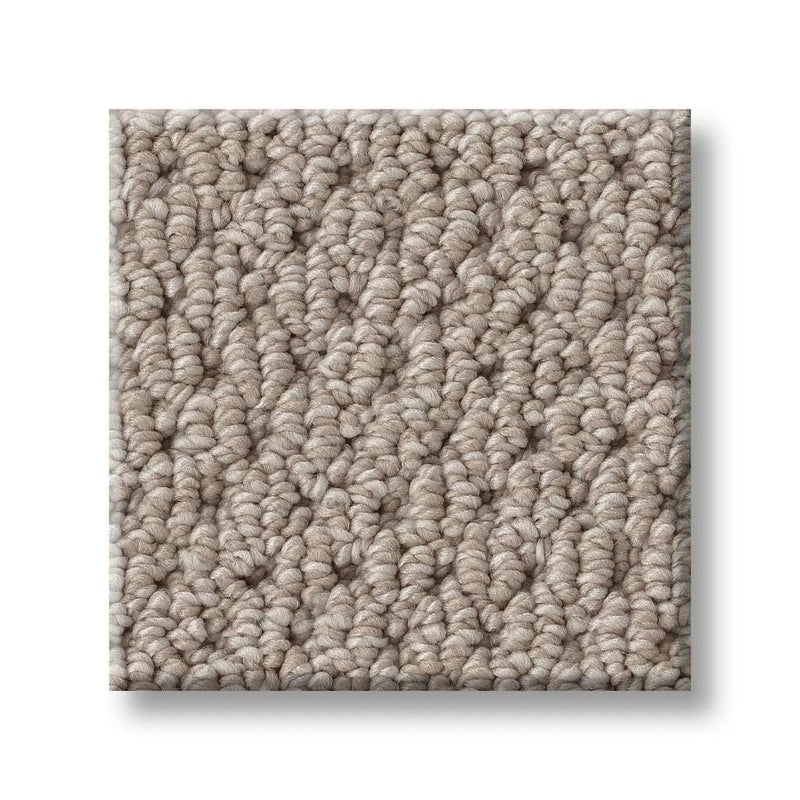 NATURALISTIC 100% Nylon Carpet 12 ft. x Custom Length R2X® Built-in Stain & Soil Protection