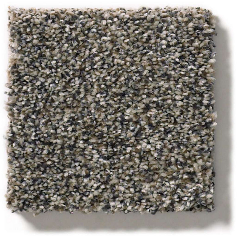 WITHIN REACH II 100% PET Polyester Carpet 12 ft. x Custom Length
