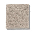FORMALIZE 100% Nylon Carpet 12 ft. x Custom Length R2X® Built-in Stain & Soil Protection
