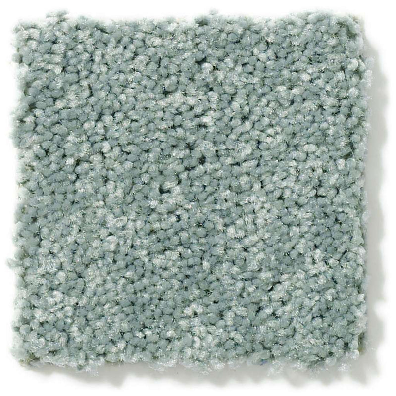 DYERSBURG CLASSIC 12' 100% Pet Polyester Carpet 12 ft. x Custom Length R2X® Built-in Stain & Soil Protection