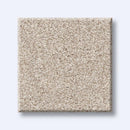 HARMONIOUS I 100% Nylon Carpet 12 ft. x Custom Length R2X® Built-in Stain & Soil Protection