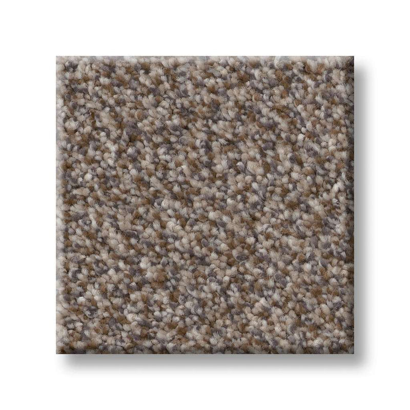 TRUSPIRIT I 100% SD PET Polyester Carpet 12 ft. x Custom Length