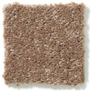 DYERSBURG CLASSIC 12' 100% Pet Polyester Carpet 12 ft. x Custom Length R2X® Built-in Stain & Soil Protection