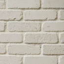 "Chalk" - Canyon Brick Veneer