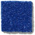 NEWBERN CLASSIC 12' 100% Pet Polyester Carpet 12 ft. x Custom Length R2X® Built-in Stain & Soil Protection