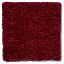 DYERSBURG CLASSIC 12' 100% Pet Polyester Carpet 12 ft. x Custom Length R2X® Built-in Stain & Soil Protection