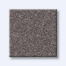 HARMONIOUS I 100% Nylon Carpet 12 ft. x Custom Length R2X® Built-in Stain & Soil Protection