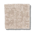 FINE STRUCTURE 100% Nylon Carpet 12 ft. x Custom Length R2X® Built-in Stain & Soil Protection, Spill-Proof Backing