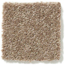 DYERSBURG CLASSIC 12' 100% Pet Polyester Carpet 12 ft. x Custom Length R2X® Built-in Stain & Soil Protection