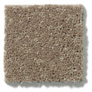 NEWBERN CLASSIC 12' 100% Pet Polyester Carpet 12 ft. x Custom Length R2X® Built-in Stain & Soil Protection