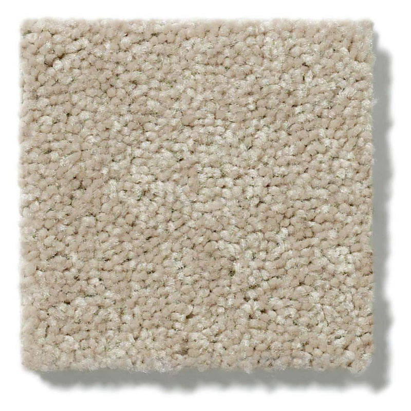 NEWBERN CLASSIC 12' 100% Pet Polyester Carpet 12 ft. x Custom Length R2X® Built-in Stain & Soil Protection