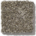 OF COURSE WE CAN III 12' 100% Pet Polyester Carpet 12 ft. x Custom Length R2X® Built-in Stain & Soil Protection