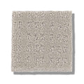 ESSENTIAL NOW 100% Nylon Carpet 12 ft. x Custom Length R2X® Built-in Stain & Soil Protection