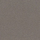 INFLUENCER 100% High Performance PET Carpet 12 ft. x Custom Length