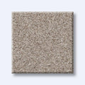 HARMONIOUS III 100% Nylon Carpet 12 ft. x Custom Length R2X® Built-in Stain & Soil Protection