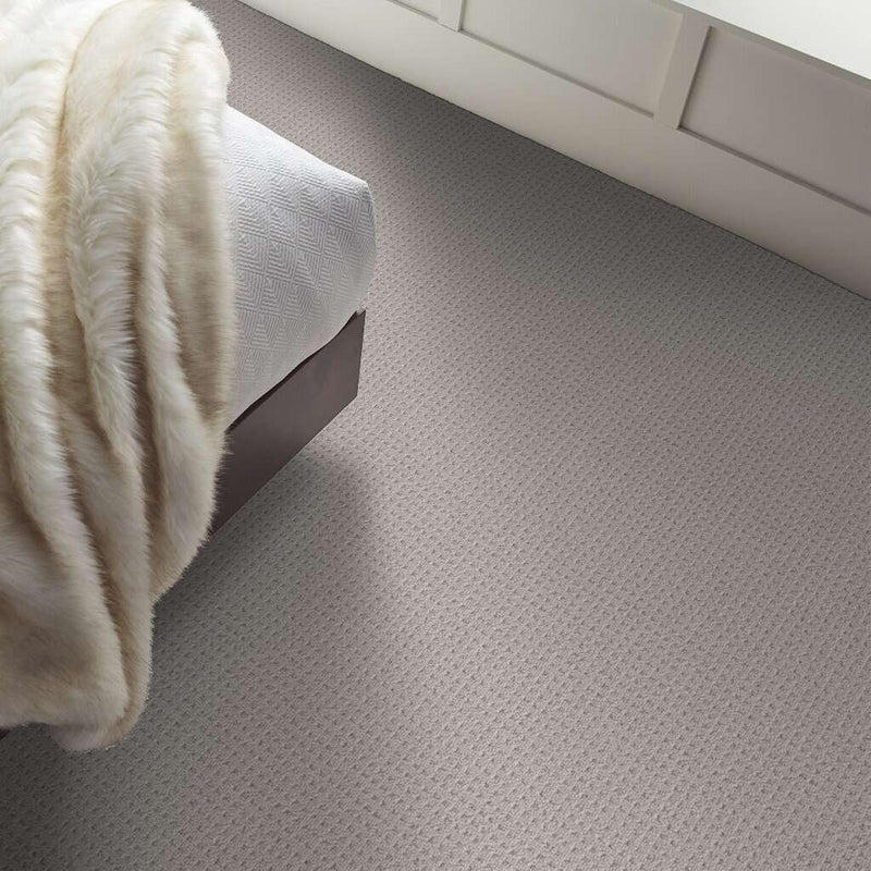 FRAMED VIEW 100% SD PET Polyester Carpet 12 ft. x Custom Length R2X® Built-in Stain & Soil Protection