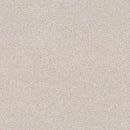 INFLUENCER 100% High Performance PET Carpet 12 ft. x Custom Length