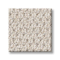 NATURALISTIC 100% Nylon Carpet 12 ft. x Custom Length R2X® Built-in Stain & Soil Protection