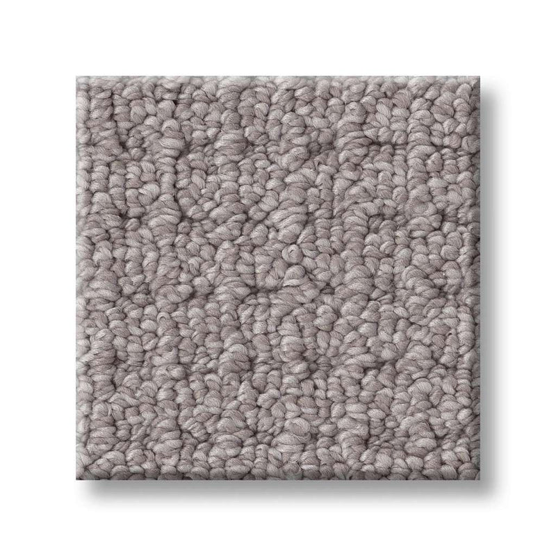 FAINT INTENT 100% Nylon Carpet 12 ft. x Custom Length R2X® Built-in Stain & Soil Protection