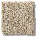 EASY FIT 100% SD PET Polyester Carpet 12 ft. x Custom Length R2X® Built-in Stain & Soil Protection