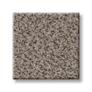 TRUSPIRIT I 100% SD PET Polyester Carpet 12 ft. x Custom Length