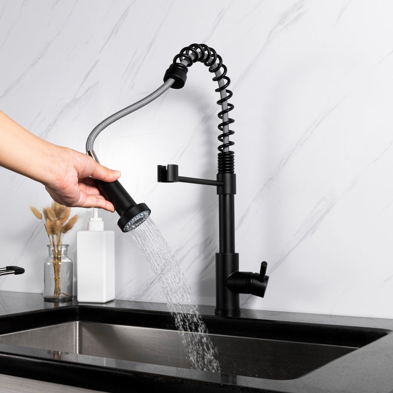 Matt Black Single-Handle Kitchen Faucet K102E01311