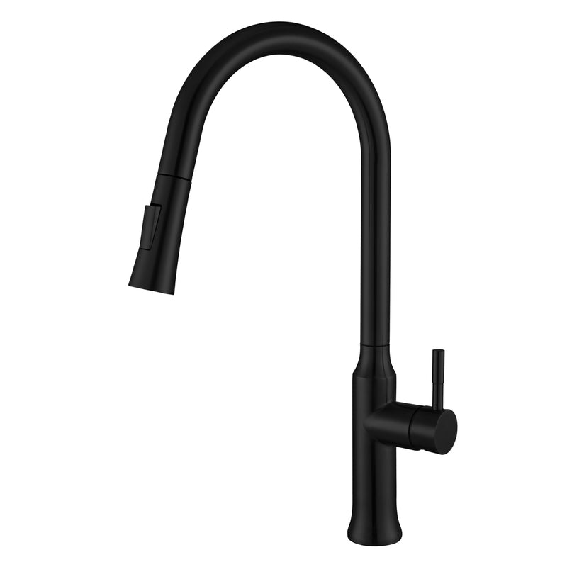 Matt Black Single-Handle Kitchen Faucet K134M01312