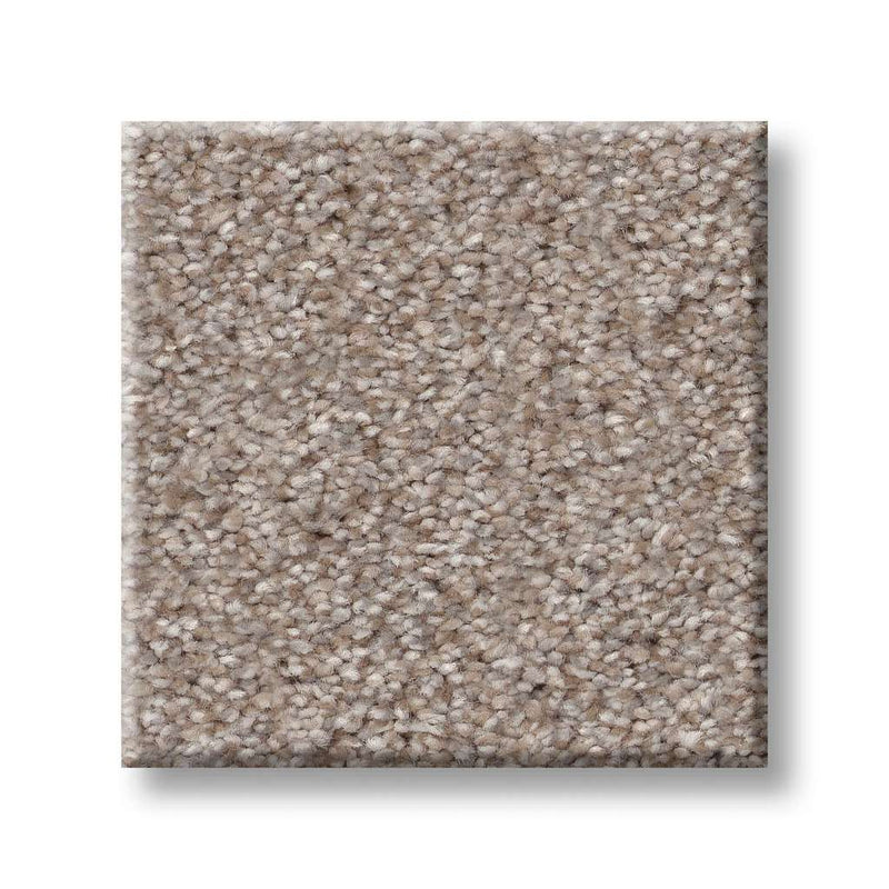 TRUSPIRIT I 100% SD PET Polyester Carpet 12 ft. x Custom Length