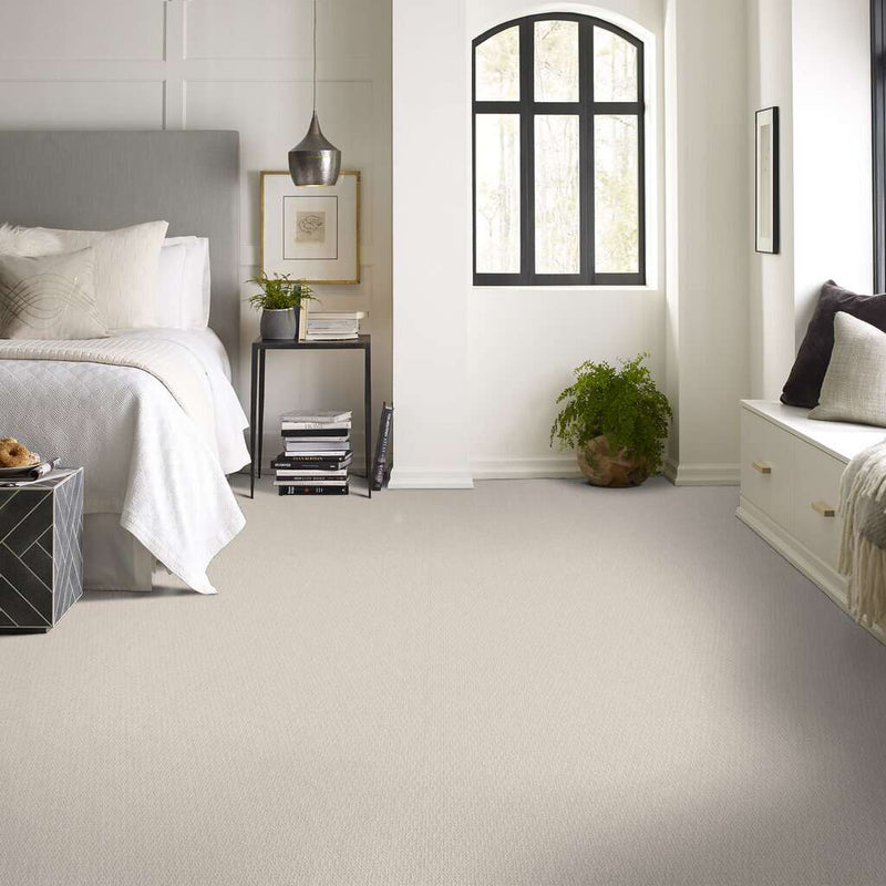 LOOP DE LOOP 100% SD PET Polyester Carpet 12 ft. x Custom Length