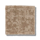 FINE STRUCTURE 100% Nylon Carpet 12 ft. x Custom Length R2X® Built-in Stain & Soil Protection, Spill-Proof Backing