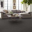OF COURSE WE CAN I 12' 100% Pet Polyester Carpet 12 ft. x Custom Length R2X® Built-in Stain & Soil Protection