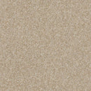 OF COURSE WE CAN III 12' 100% Pet Polyester Carpet 12 ft. x Custom Length R2X® Built-in Stain & Soil Protection