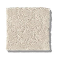 VALID 100% SD PET Polyester Carpet 12 ft. x Custom Length