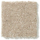 DYERSBURG CLASSIC 12' 100% Pet Polyester Carpet 12 ft. x Custom Length R2X® Built-in Stain & Soil Protection