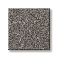 TRUSPIRIT II 100% SD PET Polyester Carpet 12 ft. x Custom Length
