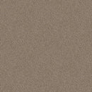 INFLUENCER 100% High Performance PET Carpet 12 ft. x Custom Length