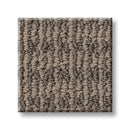 CHIC ELEVATION 100% High Performance PET Carpet 12 ft. x Custom Length