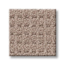 FAINT INTENT 100% Nylon Carpet 12 ft. x Custom Length R2X® Built-in Stain & Soil Protection