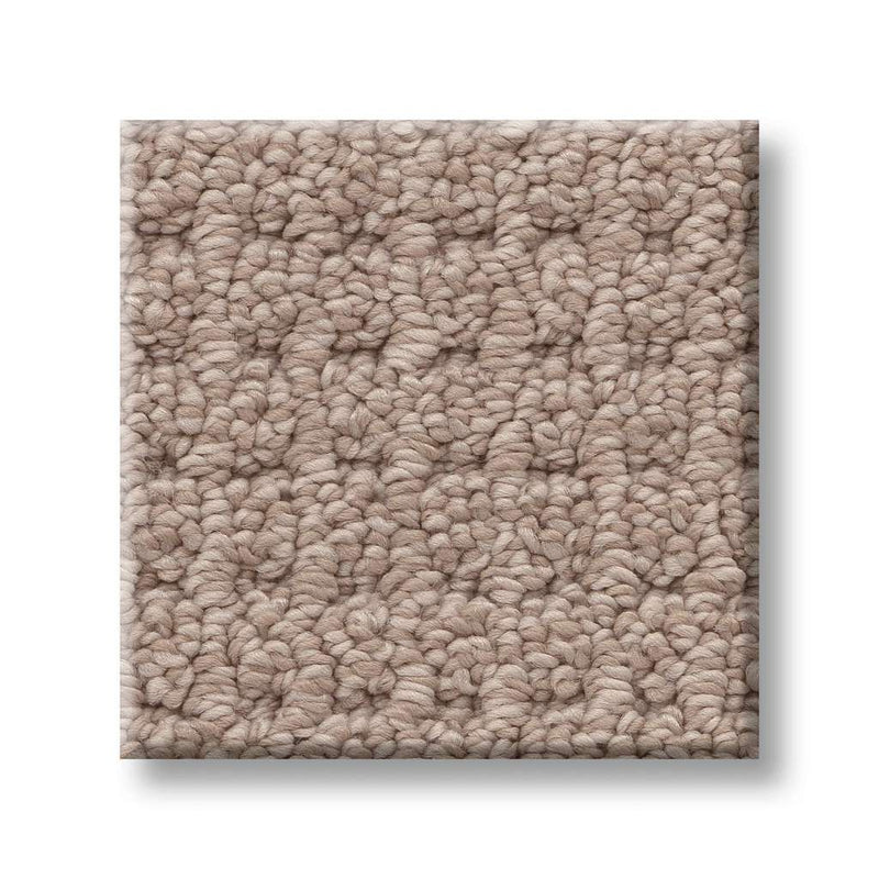 FAINT INTENT 100% Nylon Carpet 12 ft. x Custom Length R2X® Built-in Stain & Soil Protection