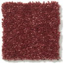 DYERSBURG CLASSIC 12' 100% Pet Polyester Carpet 12 ft. x Custom Length R2X® Built-in Stain & Soil Protection