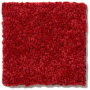 DYERSBURG CLASSIC 12' 100% Pet Polyester Carpet 12 ft. x Custom Length R2X® Built-in Stain & Soil Protection