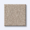 HARMONIOUS I 100% Nylon Carpet 12 ft. x Custom Length R2X® Built-in Stain & Soil Protection