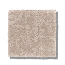 FINE STRUCTURE 100% Nylon Carpet 12 ft. x Custom Length R2X® Built-in Stain & Soil Protection, Spill-Proof Backing