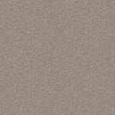 INFLUENCER 100% High Performance PET Carpet 12 ft. x Custom Length