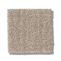 TRANSFORM 100% SD PET Polyester Carpet 12 ft. x Custom Length