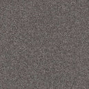 INFLUENCER 100% High Performance PET Carpet 12 ft. x Custom Length